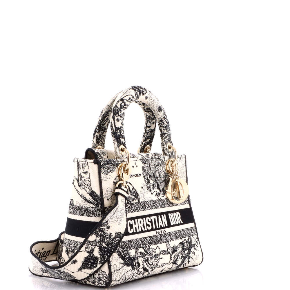 Christian Dior Medium Lady D-Lite Bag Embroidered Canvas - Picture 2 of 6